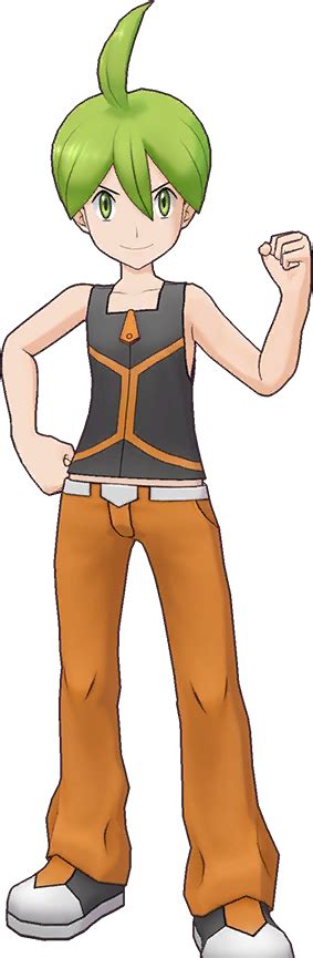 aron serebii|aaron pokemon elite four.